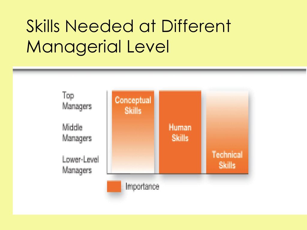 What skills are needed