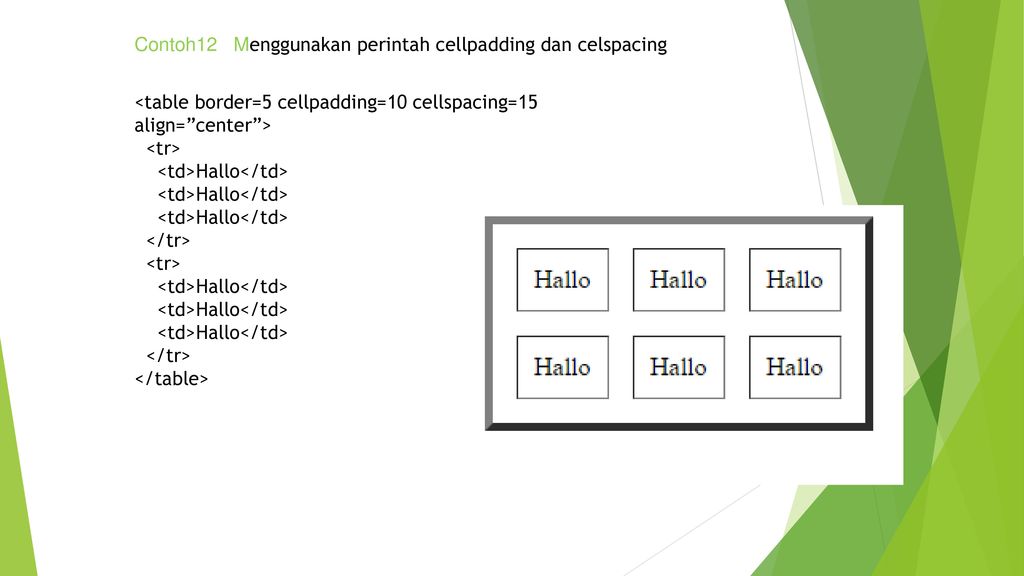 Td tr tr td background. Cellpadding. <Table border\="1" cellspacing\="0" cellpadding\="0"> <tbody> <tr> <td valign\="Top" width\="183"> <IMG. Tr td.