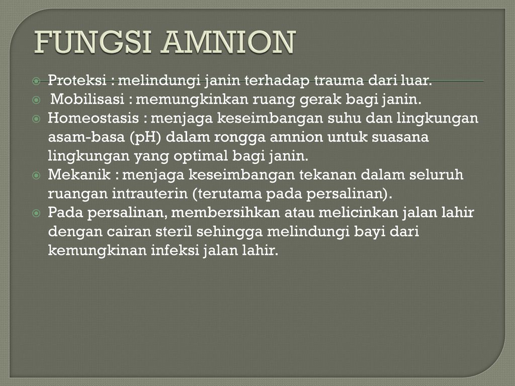 Fungsi dari amnion adalah...