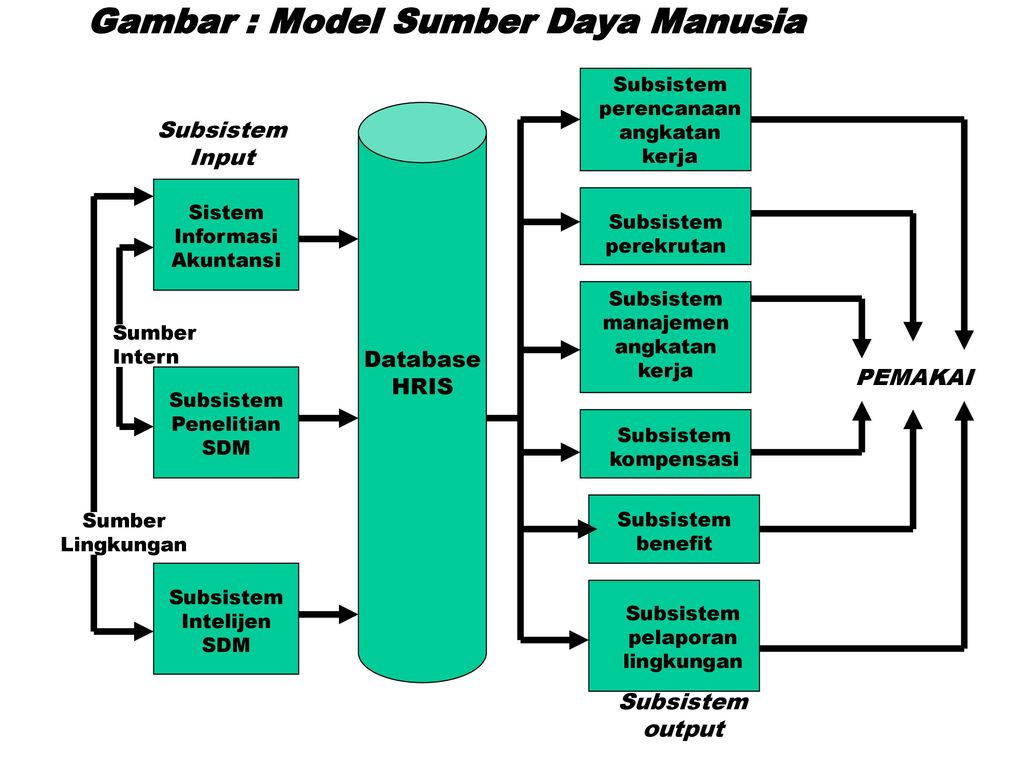 KLASIFIKASI SISTEM INFORMASI – Tulisan Sembarang