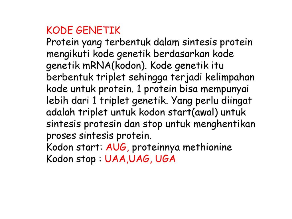 Urutan sintesis protein yang benar adalah