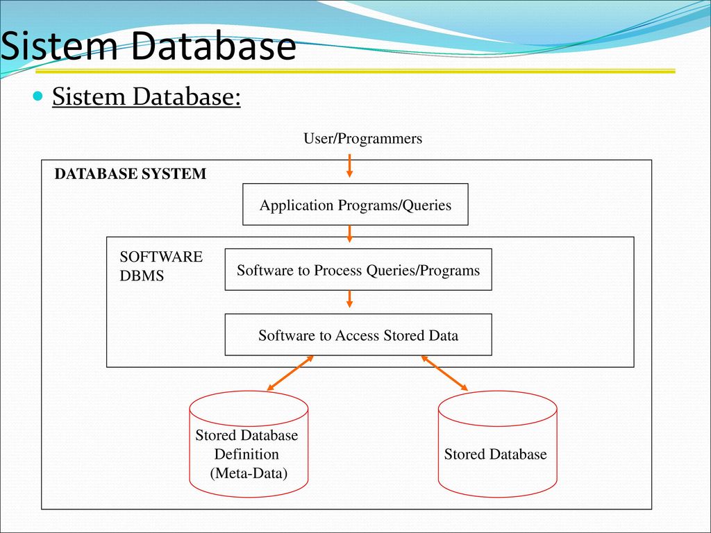 Database user 1