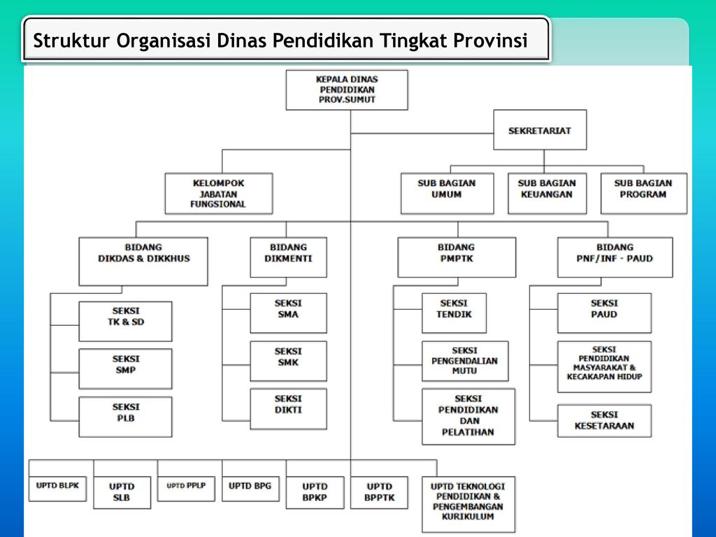 Struktur Organisasi Lembaga Pendidikan Non Formal