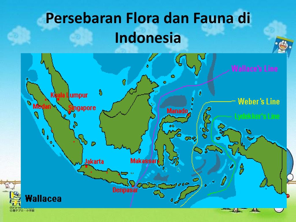 Flora Dan Fauna Persebaran Flora Dan Fauna Di Indonesia Kelas Iv Oleh Siti Halimatus Sakdiyah Ppt Download