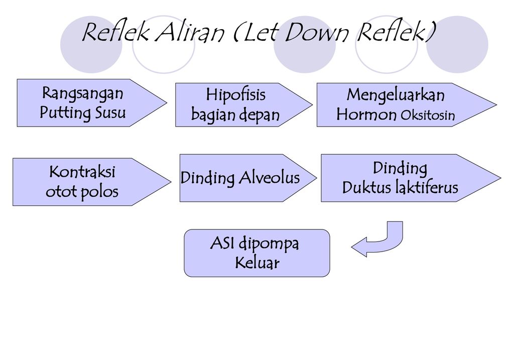 Reflek Aliran (Let Down Reflek)