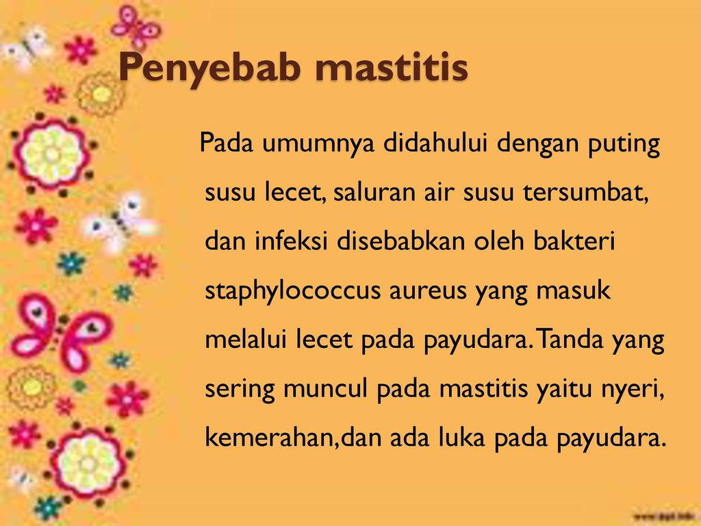 Penyebab mastitis