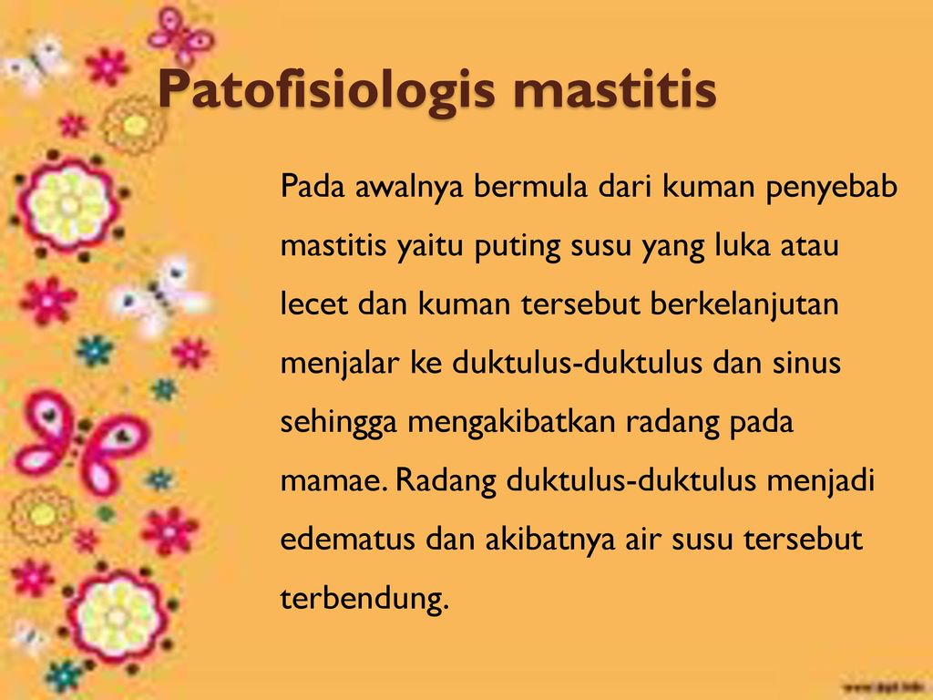 Patofisiologis mastitis