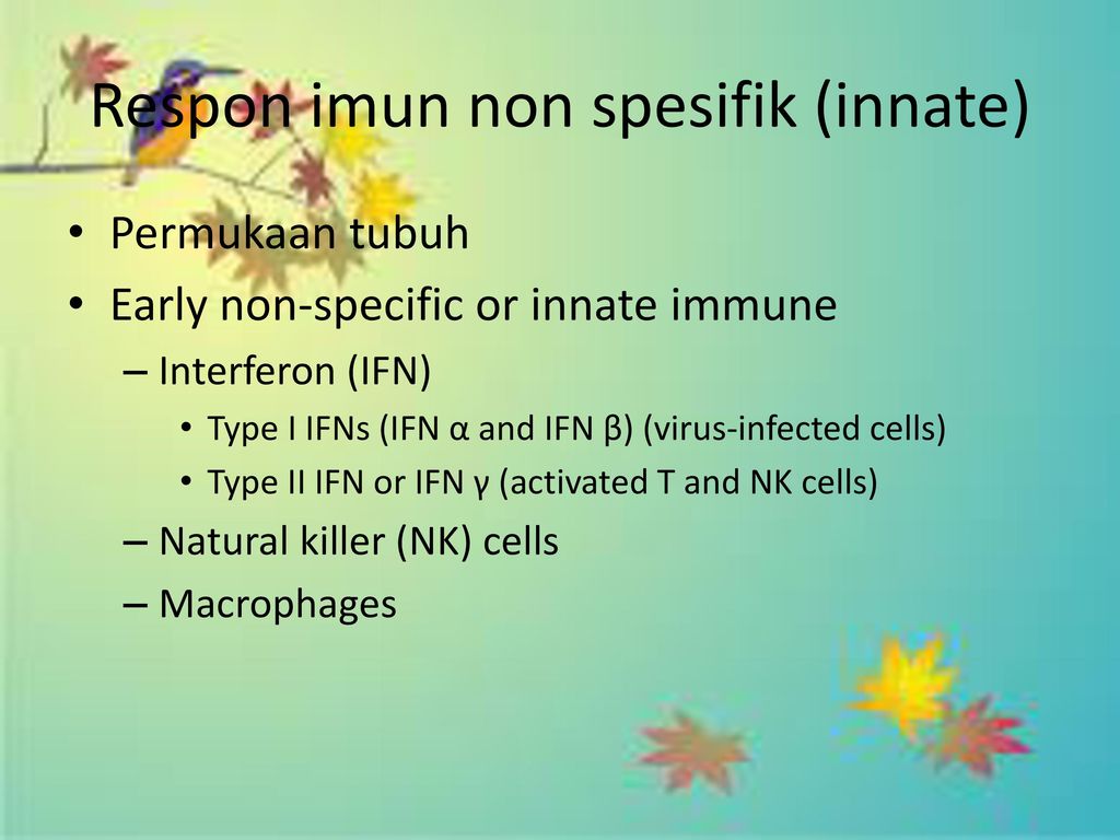 Patogenesis Dan Respon Imun Terhadap Infeksi Virus Ppt Download