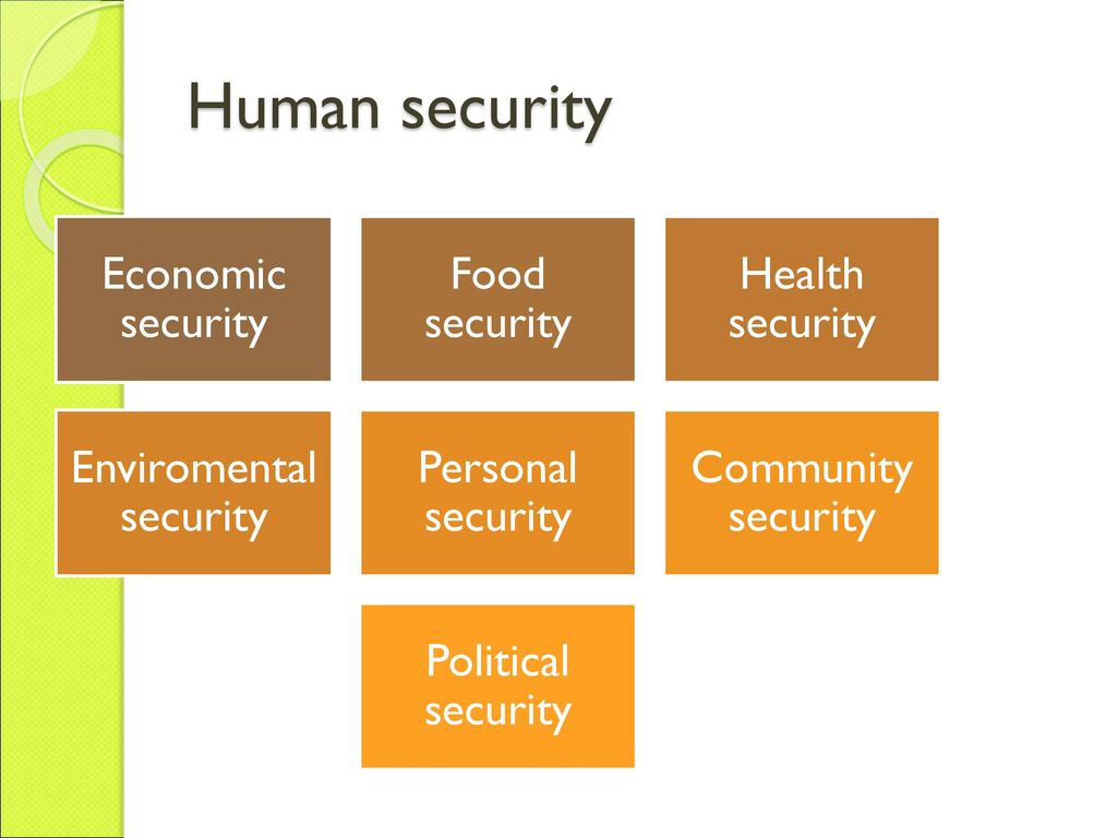 Political security