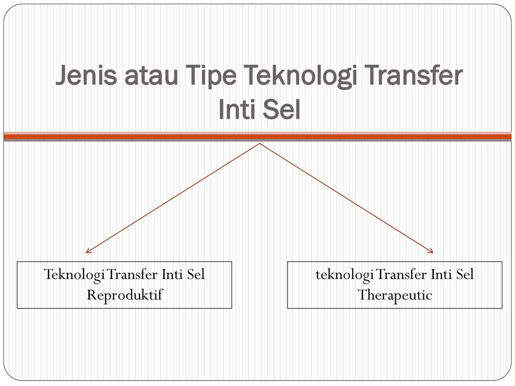 Jenis atau Tipe Teknologi Transfer Inti Sel
