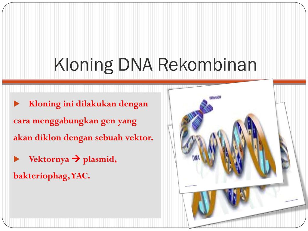 Kloning DNA Rekombinan