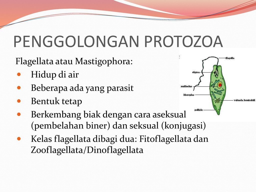 Anhari Raushanfikri Xii Ipa 3 Kelompok 2 Ppt Download