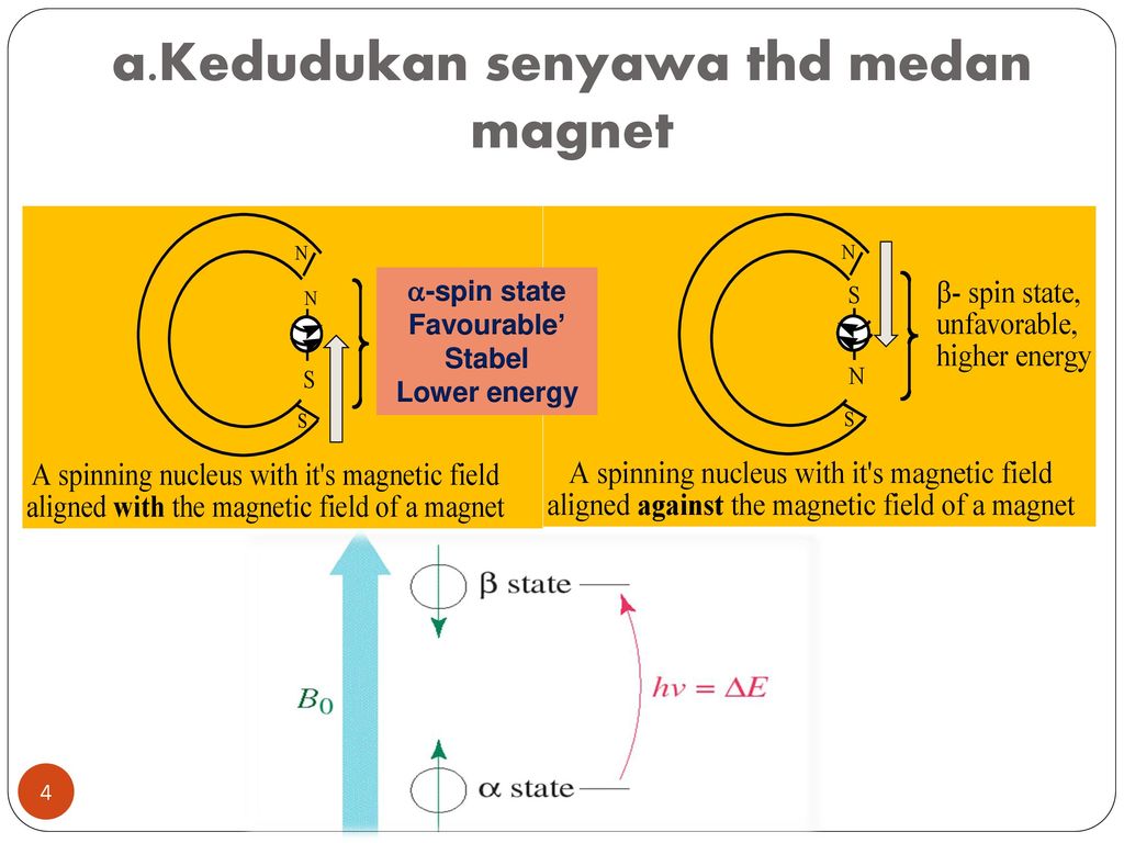 Spin state