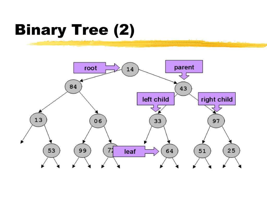 Data tree. Binary Tree. Binary Tree childrens. Binary Tree Letters. Binary Tree get next.