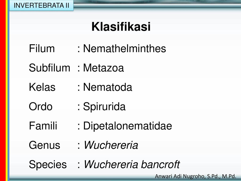 kelas phylum nemathelminthes)