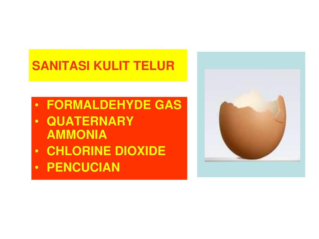 SANITASI KULIT TELUR FORMALDEHYDE GAS QUATERNARY AMMONIA CHLORINE DIOXIDE PENCUCIAN
