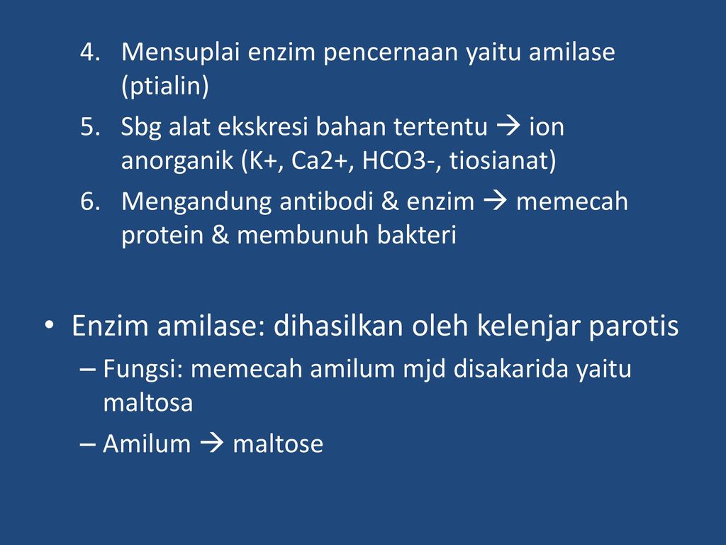 Enzim yang dihasilkan oleh getah pankreas yang berfungsi untuk memecah amilum menjadi maltosa adalah ….