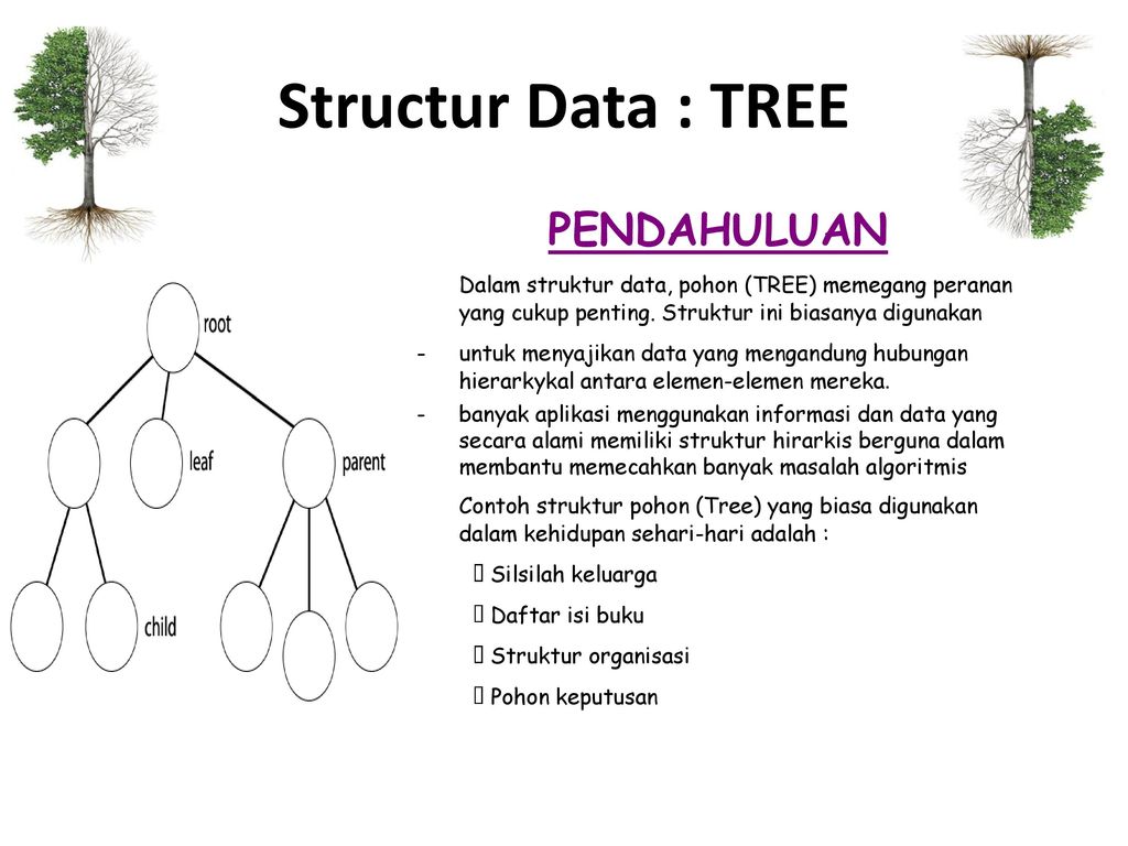 Data tree