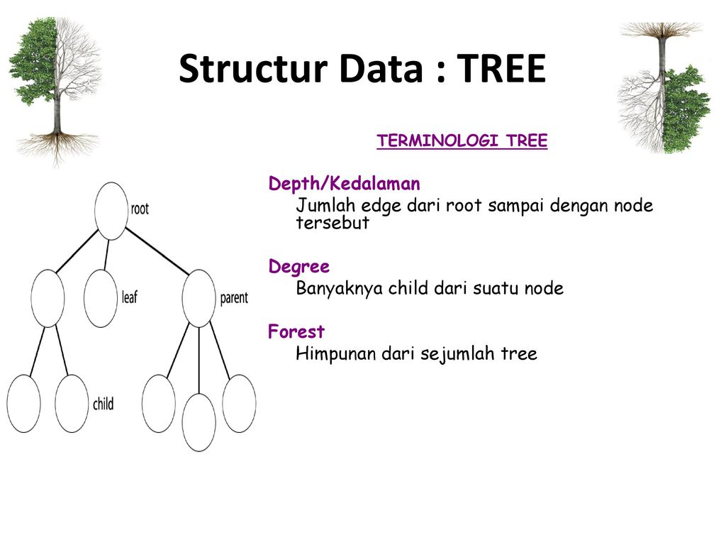 Data tree