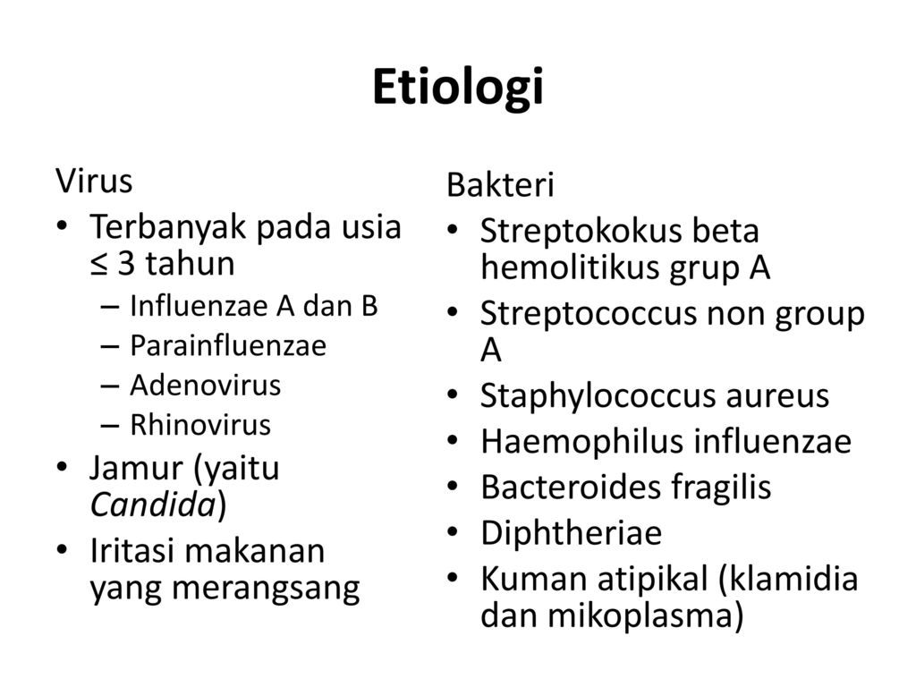 Haemophilus parainfluenzae что это