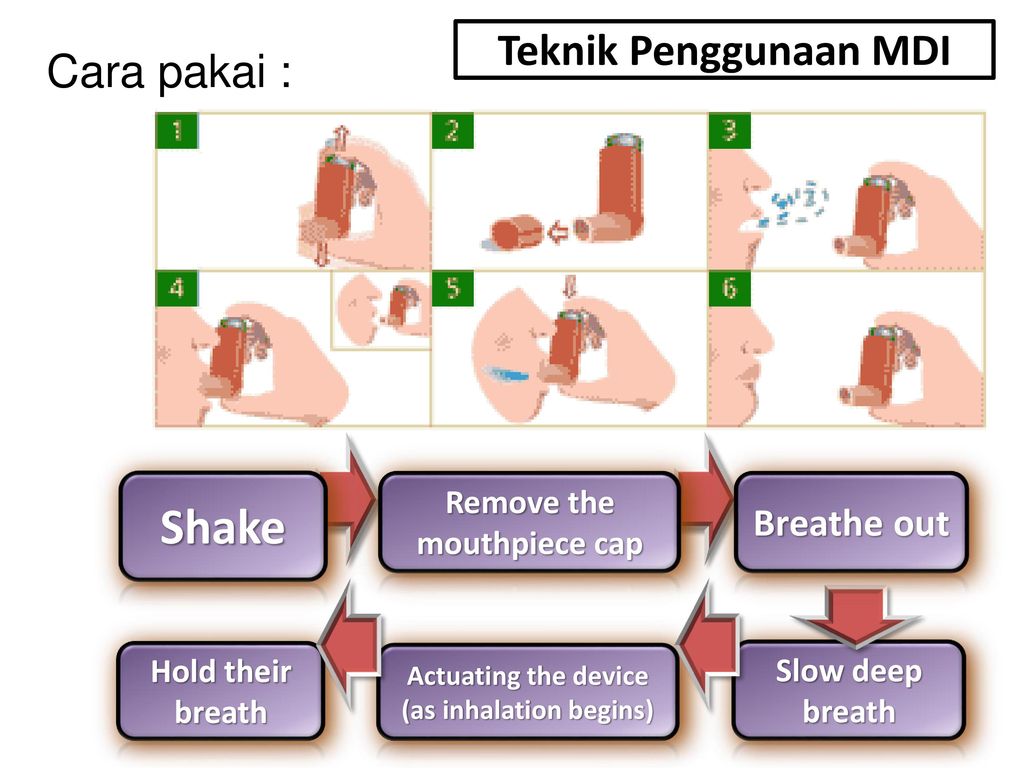 Cara Penggunaan Aerosol Inhaler