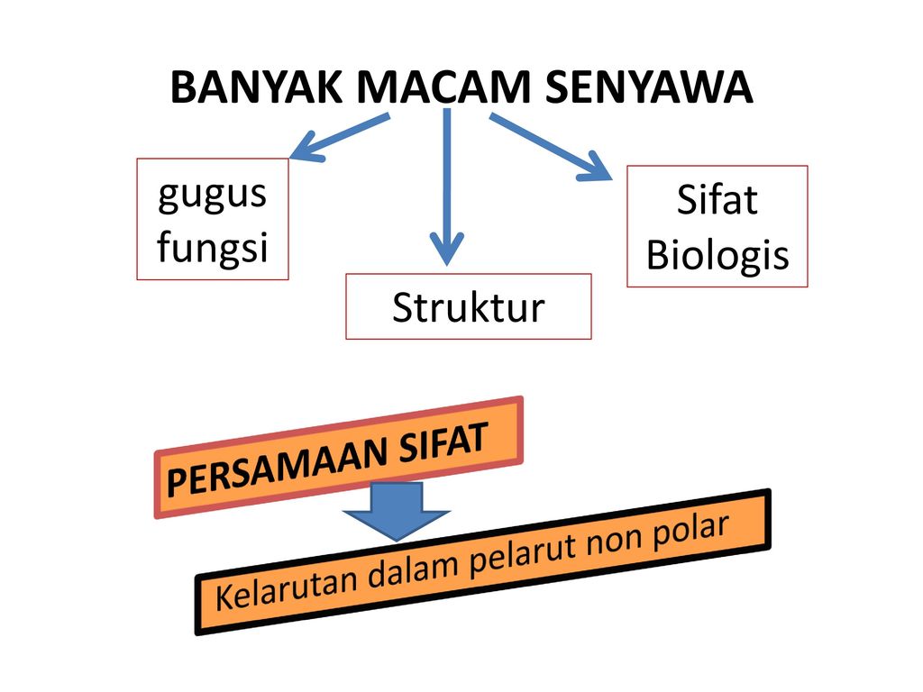 Lipida Senyawa Organik Yang Terdapat Di Alam Yang Tidak Larut Dalam Air Tetapi Larut Dalam Pelarut Organik Non Polar N Heksana Eter Dsb Ppt Download