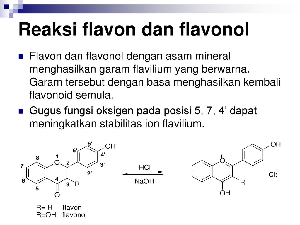 Flavonoid fungsi Kimia Bahan