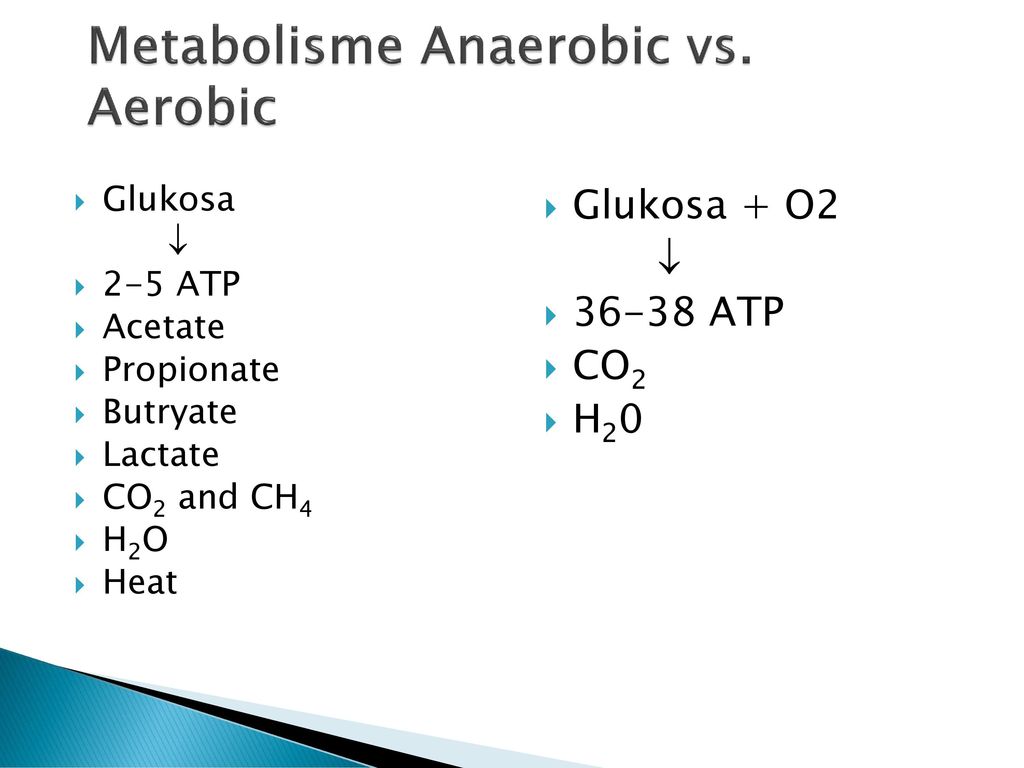 Metabolisme Anaerobic vs. Aerobic