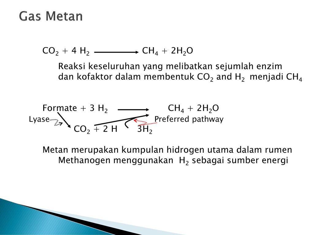Gas Metan CO2 + 4 H2 CH4 + 2H2O. Reaksi keseluruhan yang melibatkan sejumlah enzim. dan kofaktor dalam membentuk CO2 and H2 menjadi CH4.