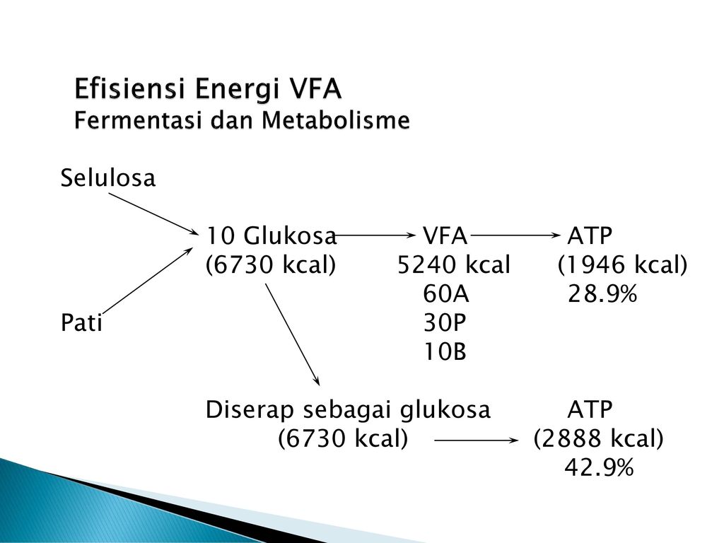 Efisiensi Energi VFA Fermentasi dan Metabolisme