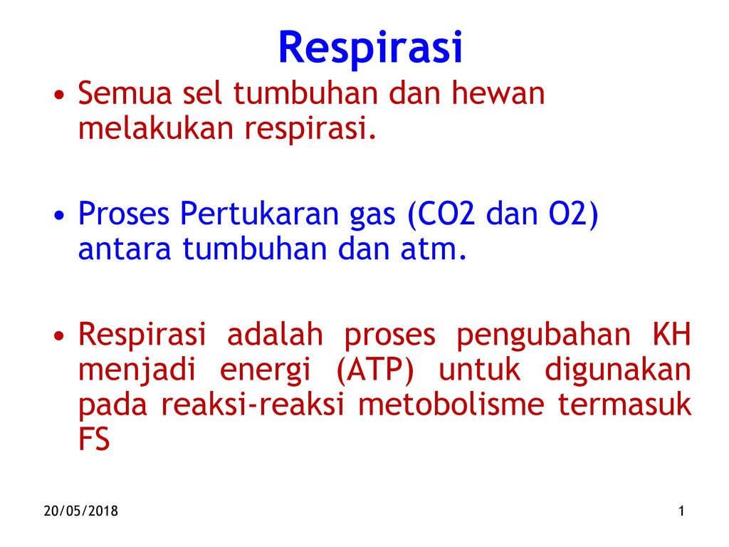 Respirasi Semua Sel Tumbuhan Dan Hewan Melakukan Respirasi