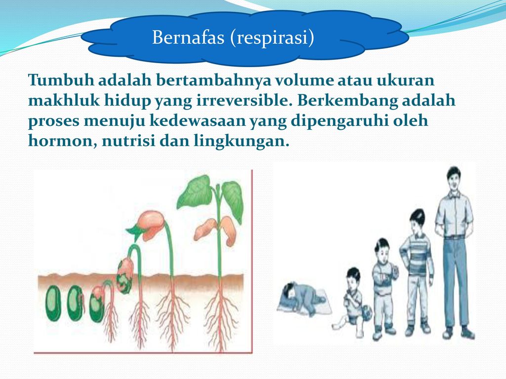 Ciri Ciri Makhluk Hidup Ppt Download