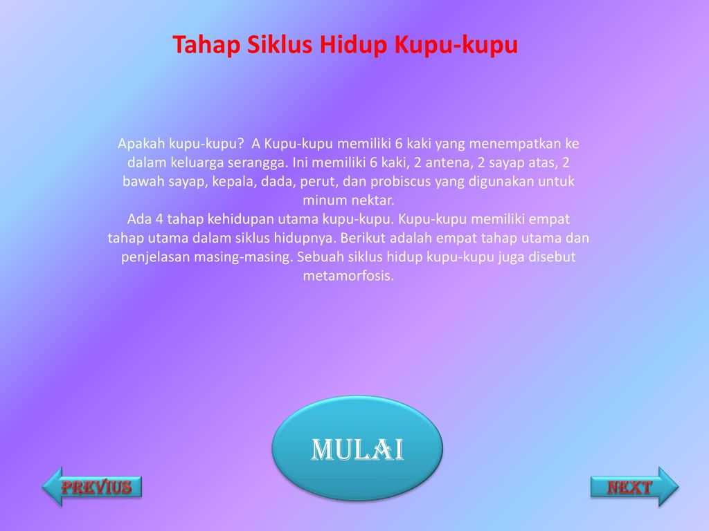 Siklus Metamorfosis Kupu Kupu Ppt Download