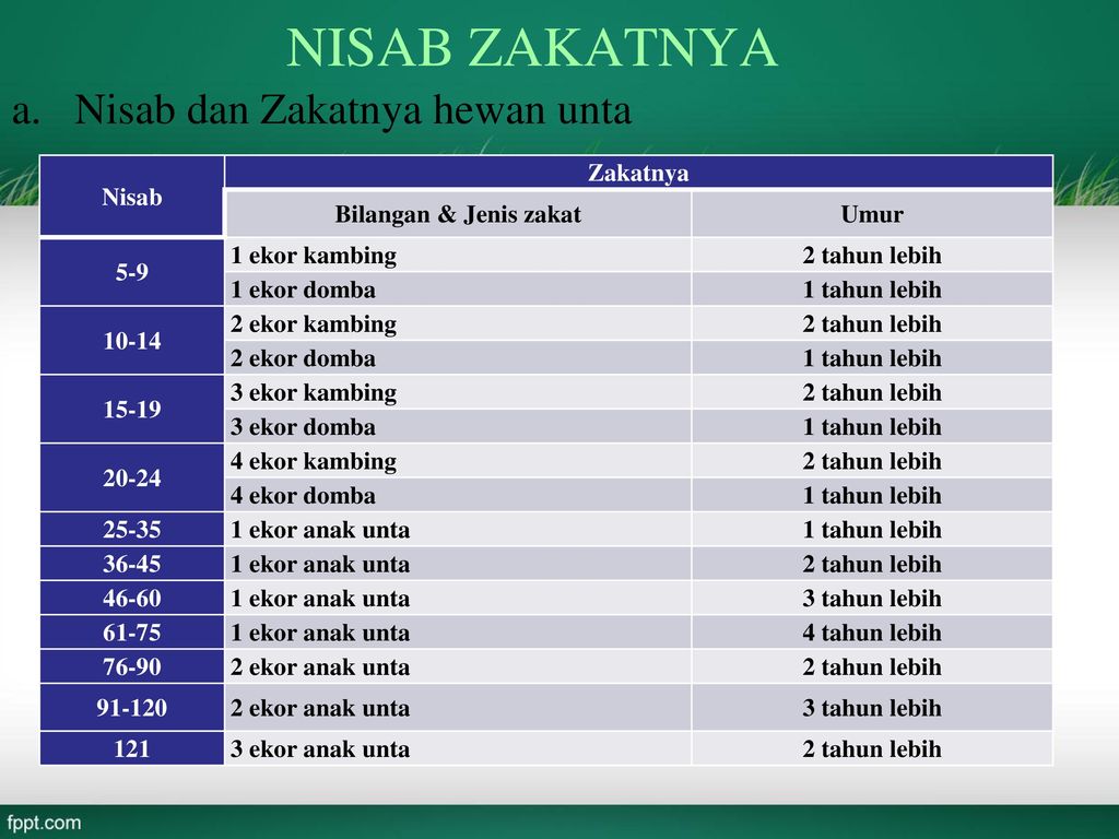 Pengertian Zakat Dan Cara Pembagiannya Ppt Download