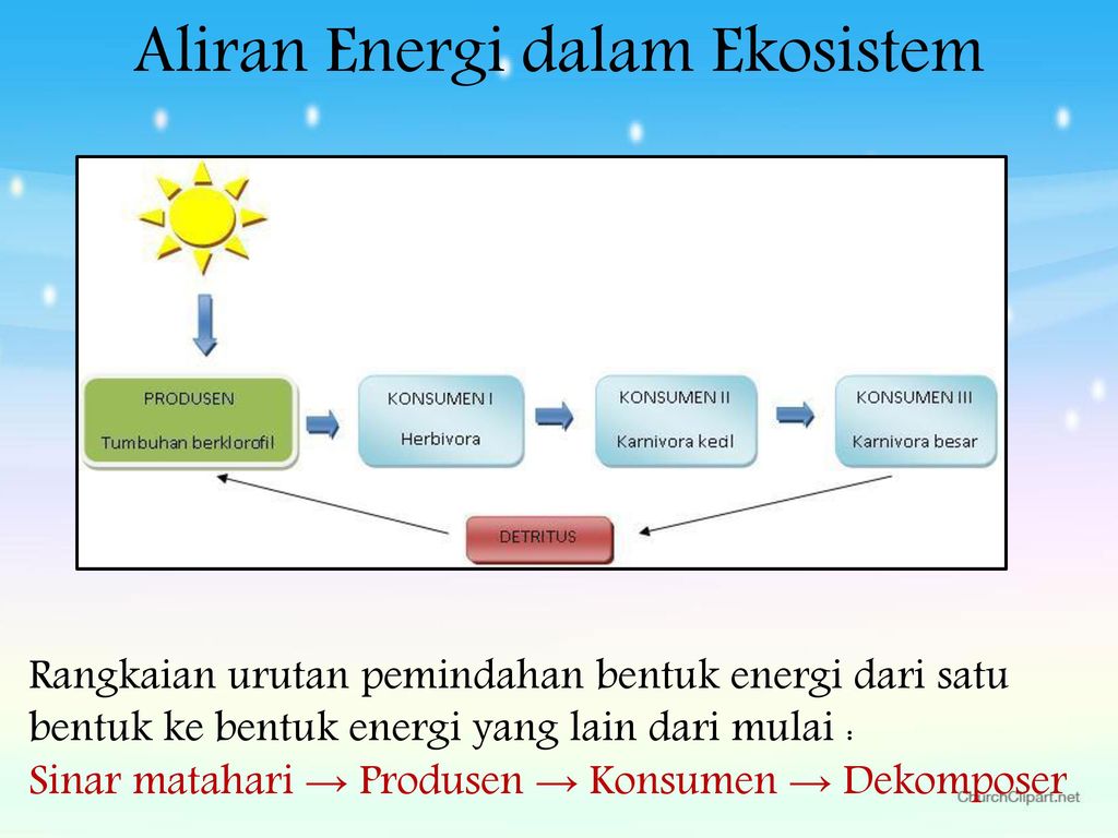 Latihan Soal Engidentifikasi Aliran Energi Dan Daur Materi Pada Ekosistem