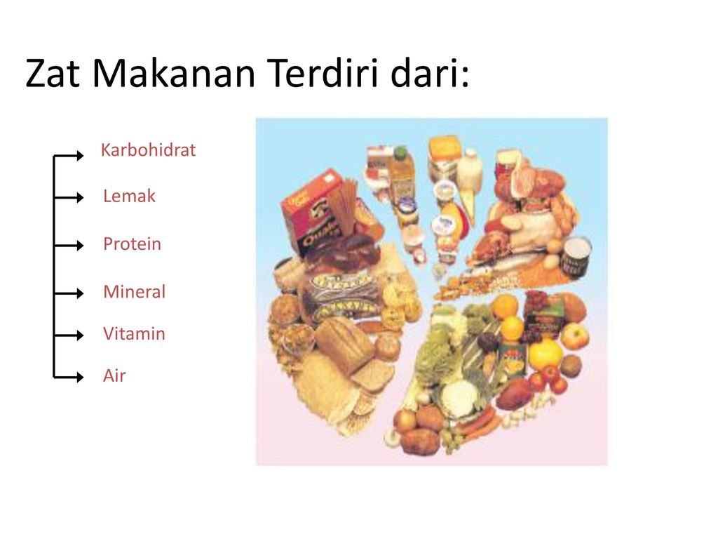 Makanan And Fungsinya Oleh Ida Rianawaty Ppt Download