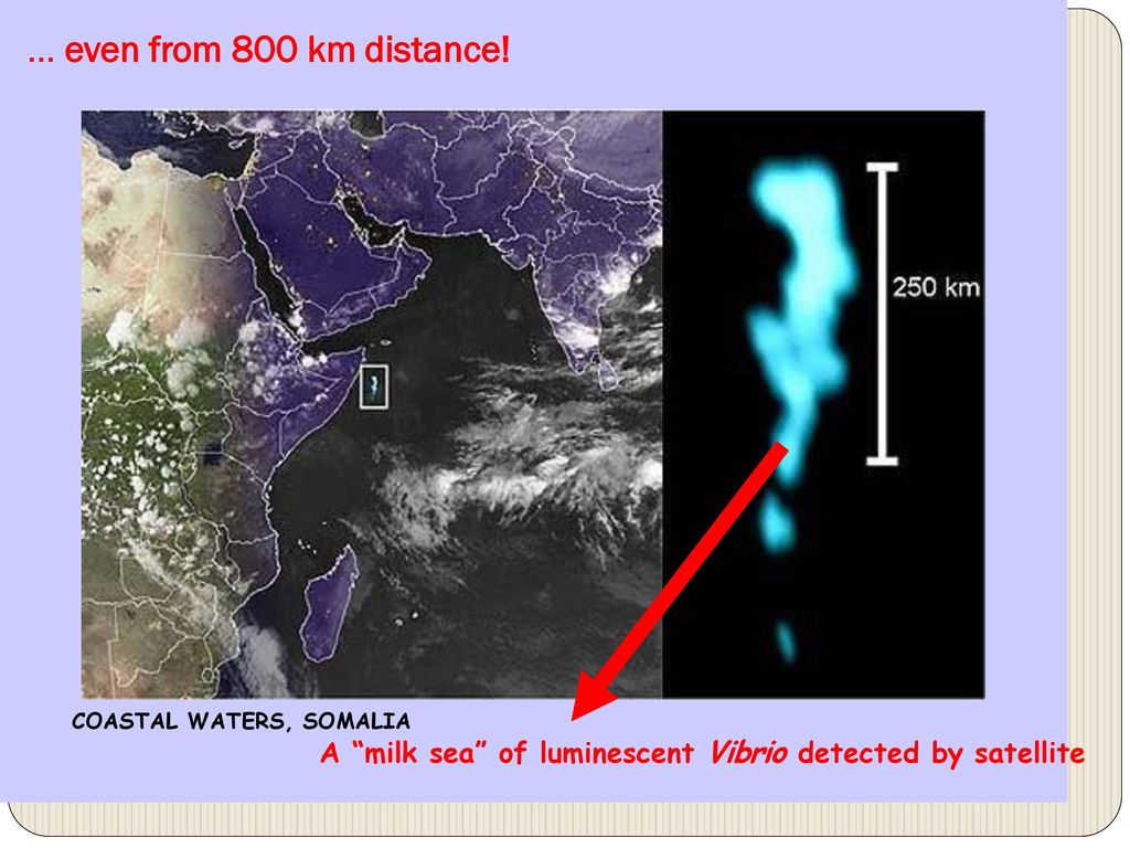 Coasting distance