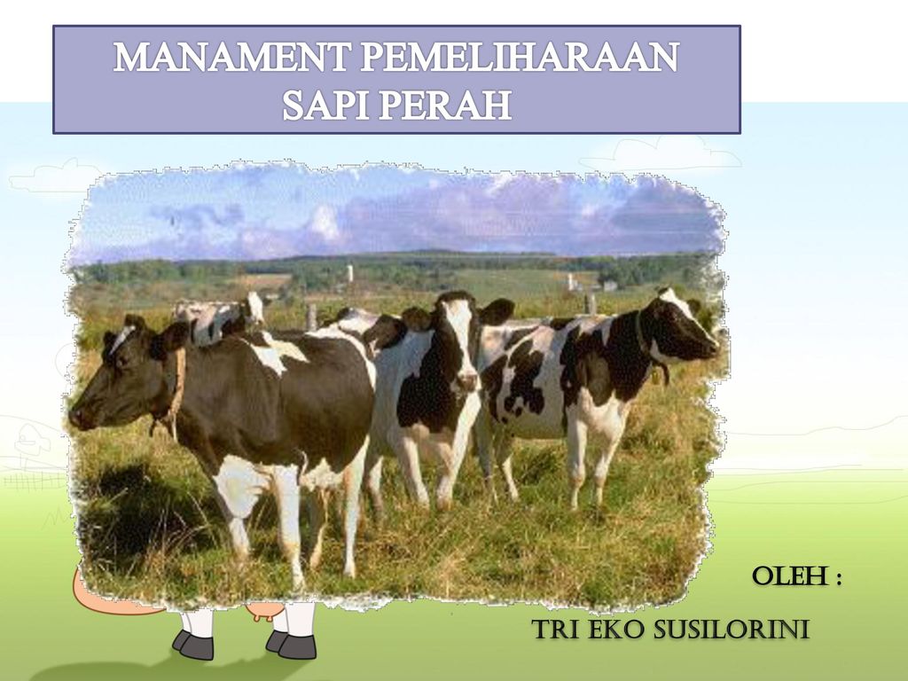 perkandangan sapi perah ppt to pdf dpqk scheko site dpqk scheko site