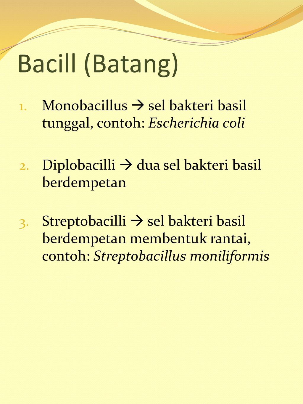 Bacill (Batang) Monobacillus  sel bakteri basil tunggal, contoh: Escherichia coli. Diplobacilli  dua sel bakteri basil berdempetan.