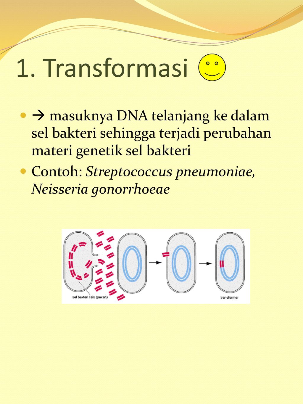 1. Transformasi  masuknya DNA telanjang ke dalam sel bakteri sehingga terjadi perubahan materi genetik sel bakteri.