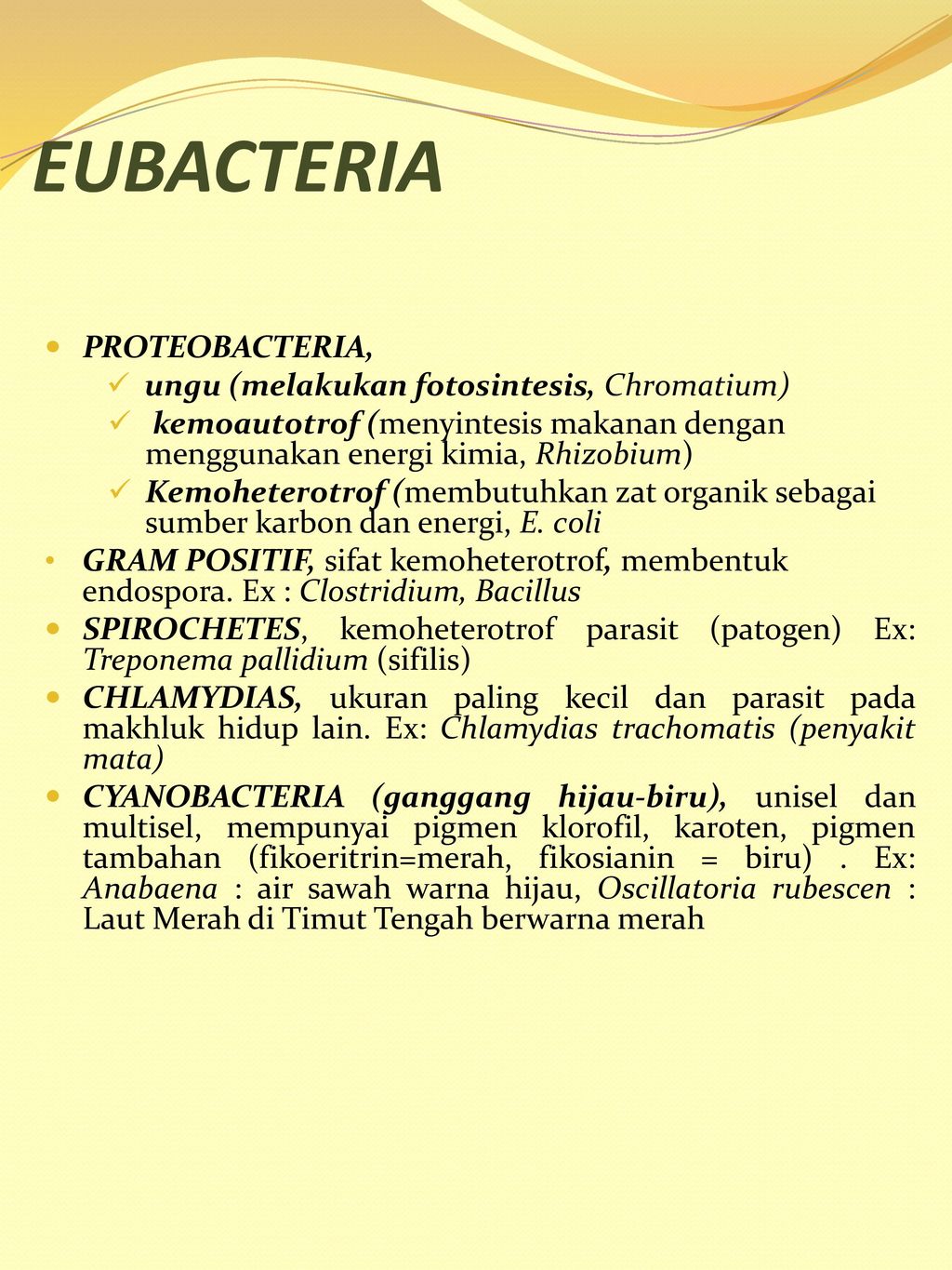 EUBACTERIA PROTEOBACTERIA, ungu (melakukan fotosintesis, Chromatium)