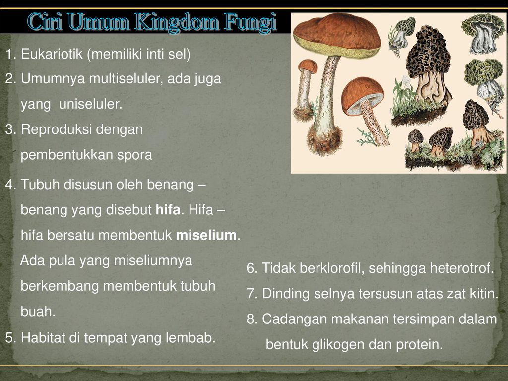 Dalam ekosistem kingdom fungi berperan sebagai