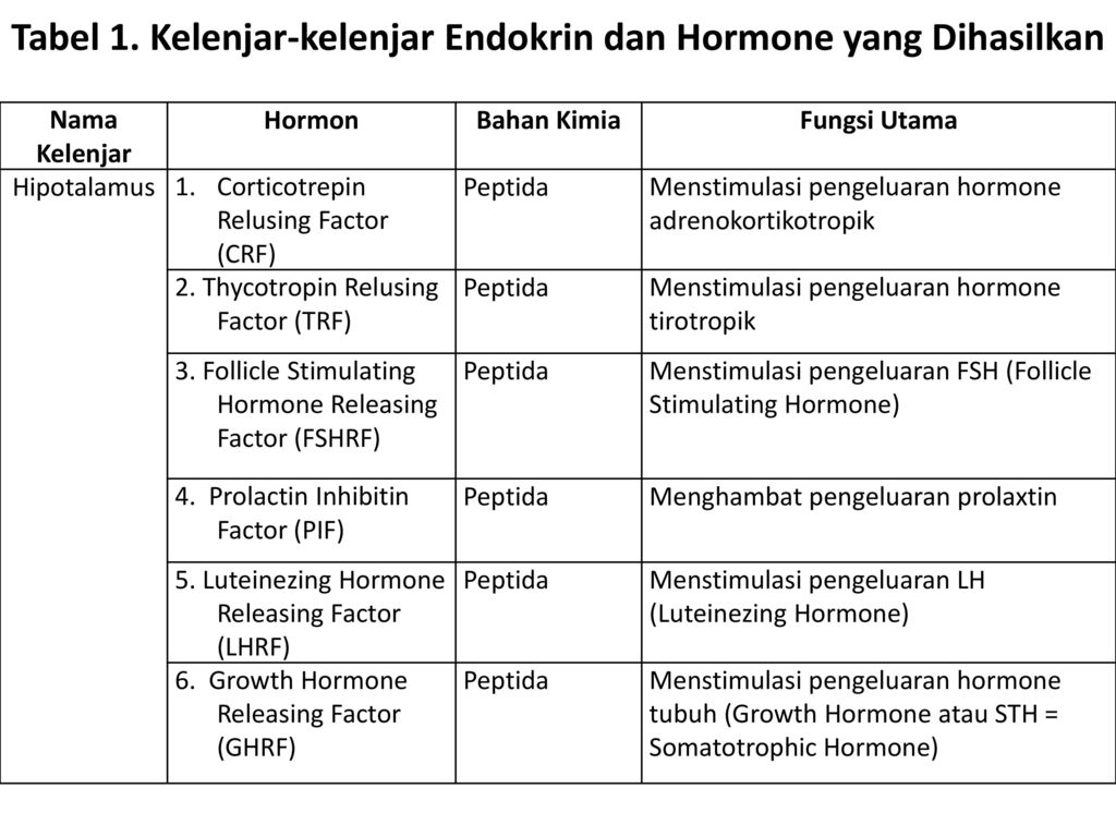 Nama Nama Hormon Dan Fungsinya Lillian Mcdonald