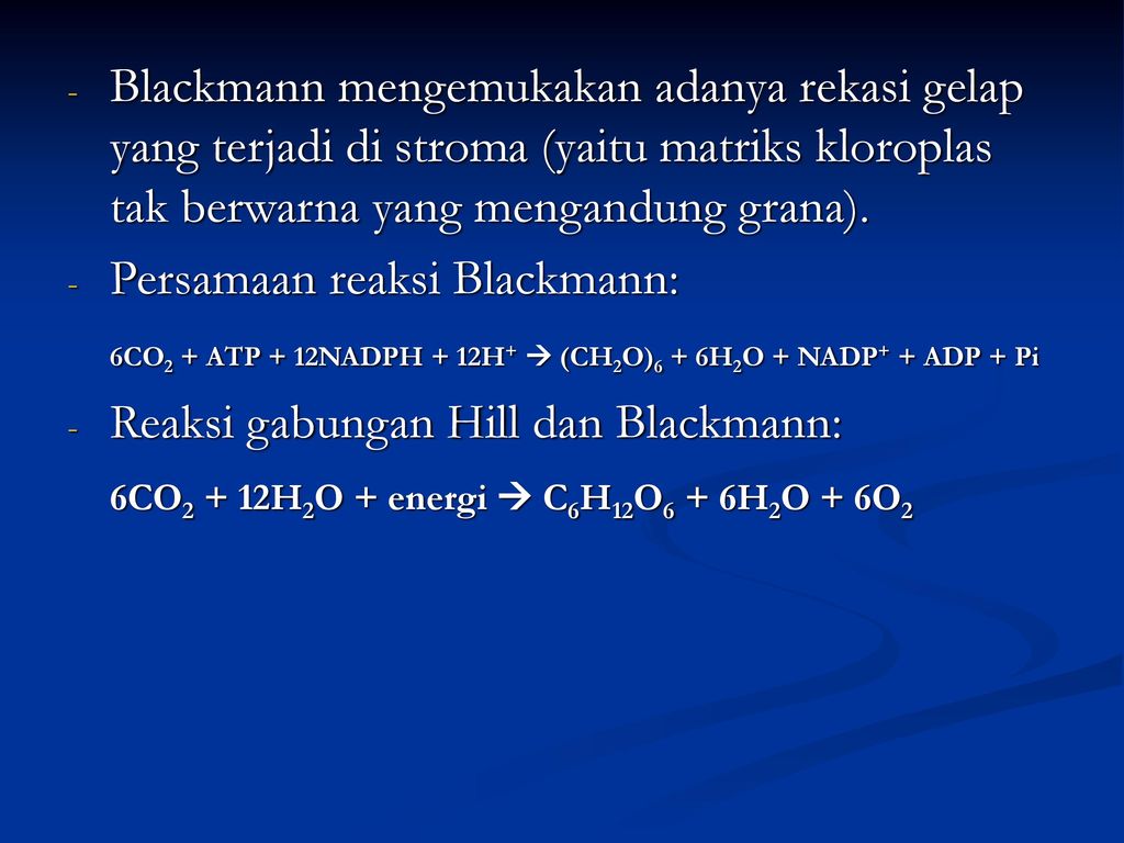 Blackmann mengemukakan adanya rekasi gelap yang terjadi di stroma (yaitu matriks kloroplas tak berwarna yang mengandung grana).