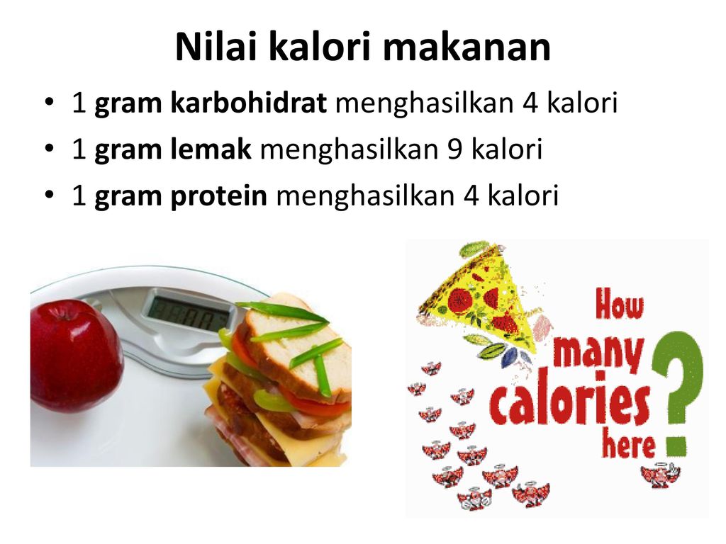 Dalam 100 gram kacang tanah mengandung 28 gram protein 18 gram karbohidrat 43 gram lemak dan sisa
