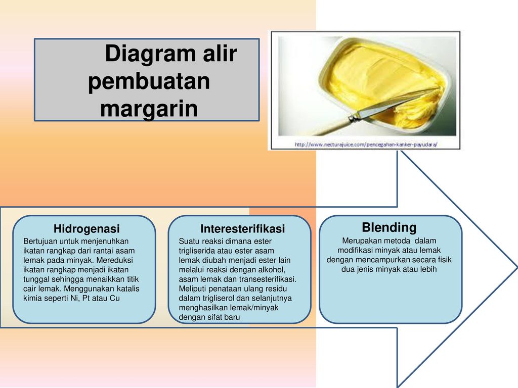 PENGOLAHAN KELAPA SAWIT MENJADI PRODUK TEPAT GUNA DAN BERNILAI ...