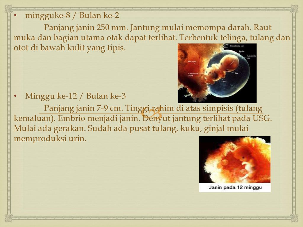 Askeb 1 Pertumbuhan Dan Perkembangan Hasil Konsepsi Ppt Download