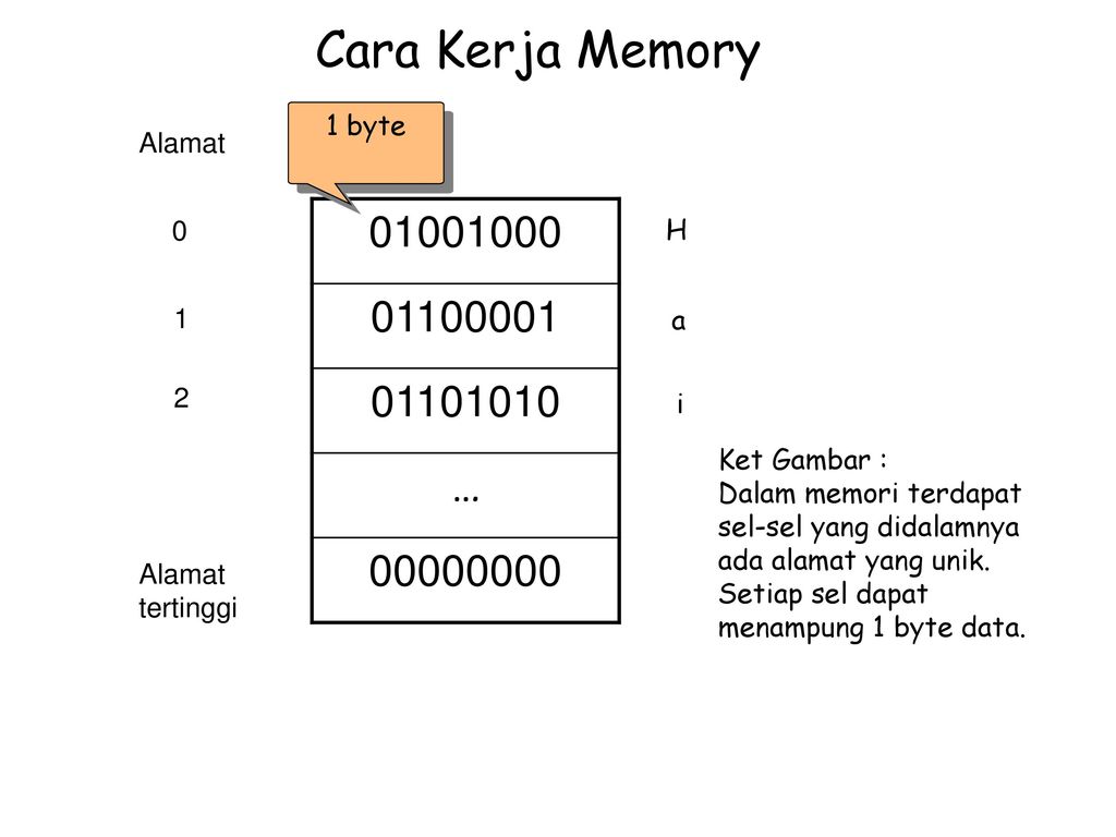 Memory byte. Byte Memory.