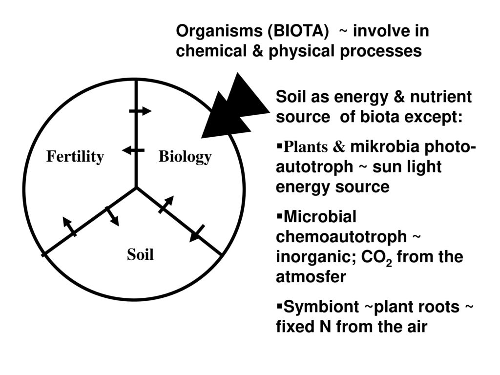 Biota в кругу. The fundamental physical or Chemical processes перевод текста.