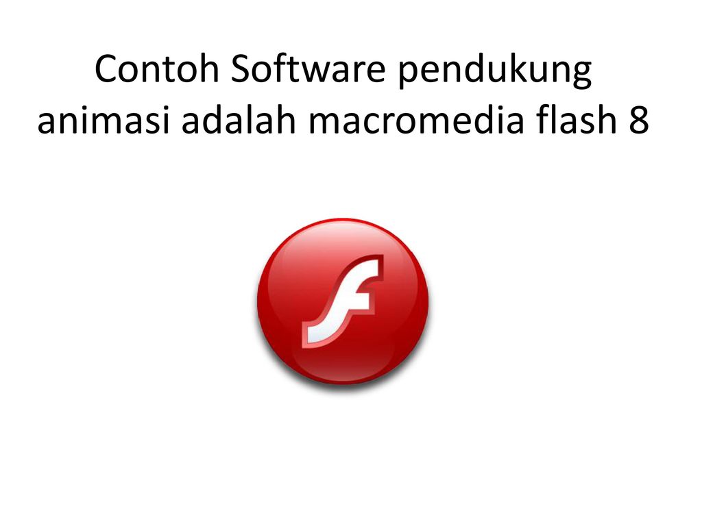 Macromedia Flesh Player 8